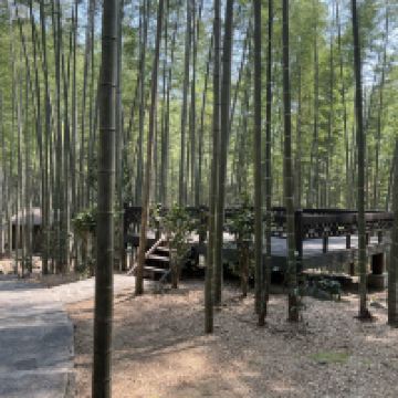 評論圖片 5