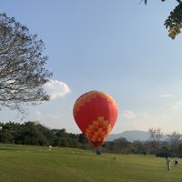 評論圖片 1