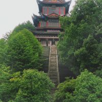 評論圖片 2