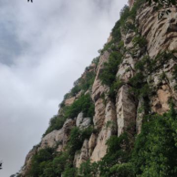 評論圖片 5