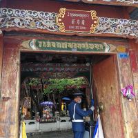 評論圖片 4