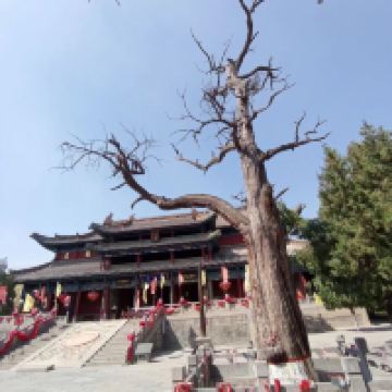 評論圖片 9