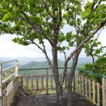 評論圖片 1