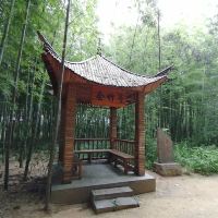 評論圖片 2