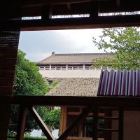 評論圖片 1