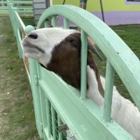 評論圖片 3