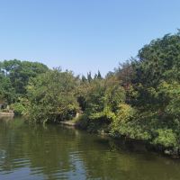 評論圖片 3