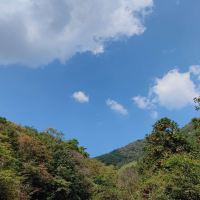 評論圖片 6
