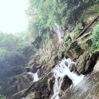 評論圖片 1