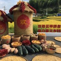 評論圖片 7