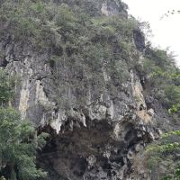 評論圖片 1