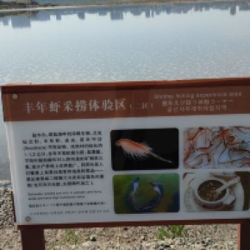 評論圖片 7