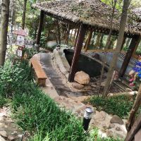 評論圖片 1