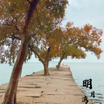 評論圖片 2