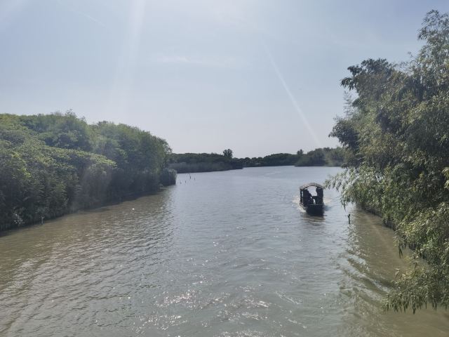 Shajiabang Scenic Area