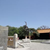 評論圖片 6
