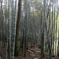 評論圖片 2