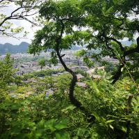 評論圖片 7