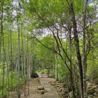 評論圖片 2