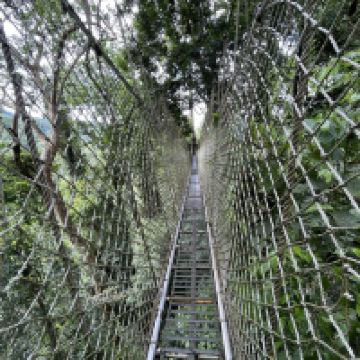 評論圖片 6