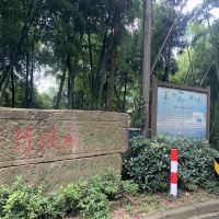 評論圖片 5