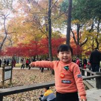 評論圖片 2