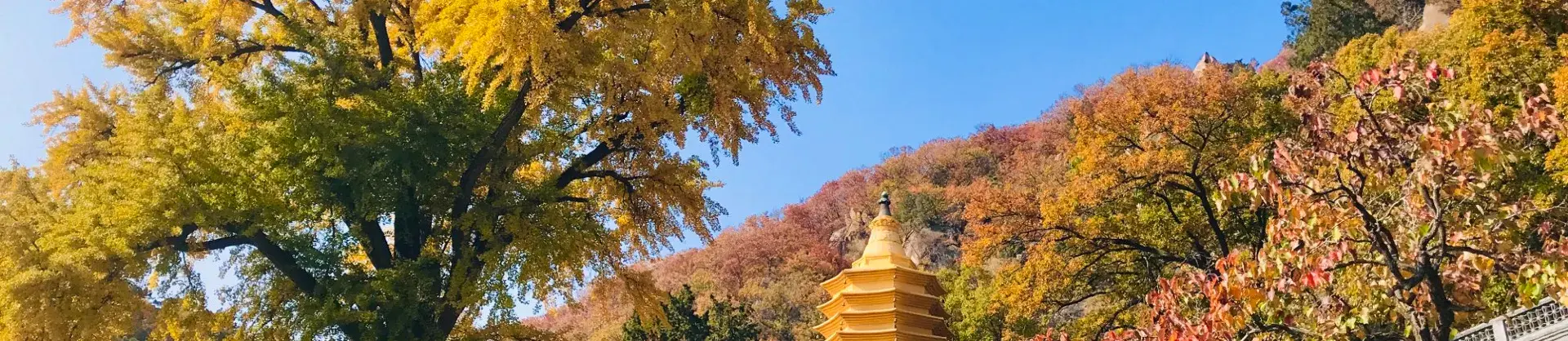 가을 경치