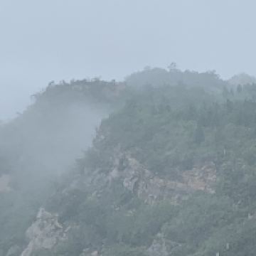 評論圖片 5