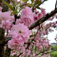 評論圖片 3