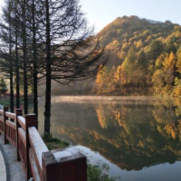 評論圖片 7