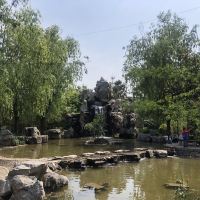 評論圖片 8