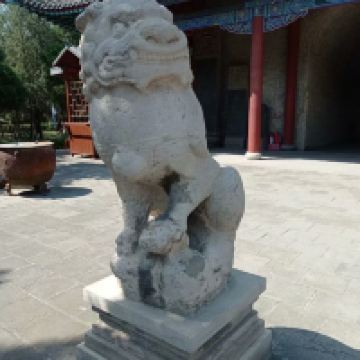 評論圖片 6