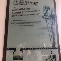 評論圖片 2