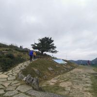 評論圖片 3