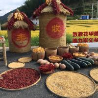 評論圖片 8