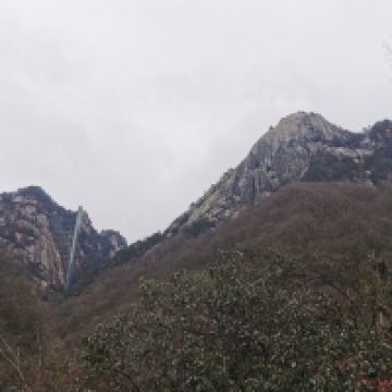 評論圖片 8