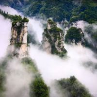 評論圖片 5
