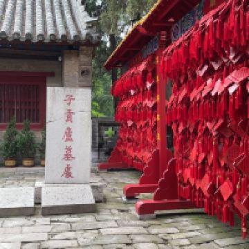 評論圖片 9
