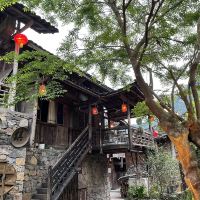 評論圖片 6