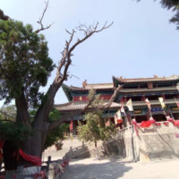 評論圖片 3