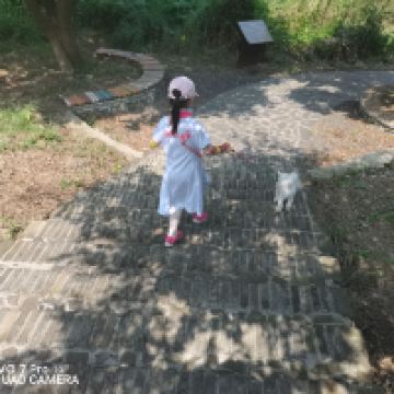 評論圖片 5