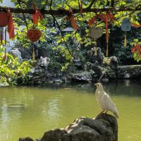 評論圖片 4