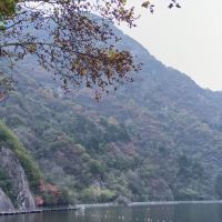 評論圖片 4