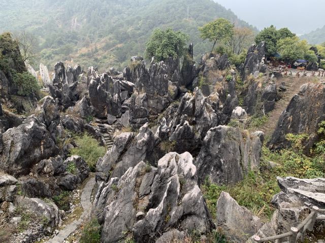 Jade Forest Scenic Area