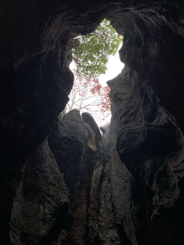 Jade Forest Scenic Area