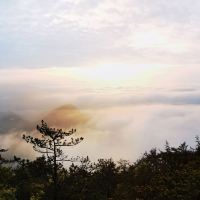評論圖片 5