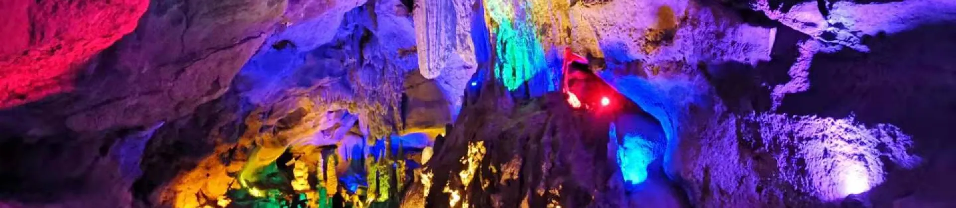 Night Attractions