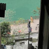 評論圖片 7