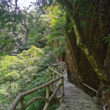評論圖片 5