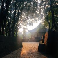 評論圖片 3